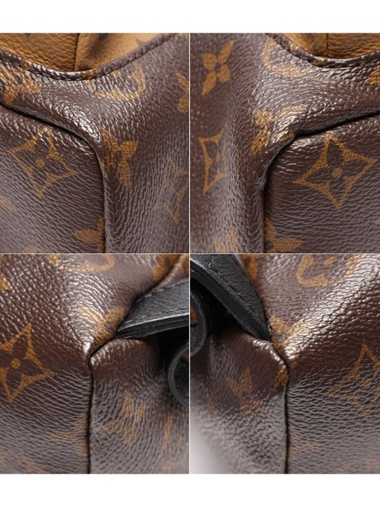Louis Vuitton Backpack Palm Springs PM Monogram main image 6